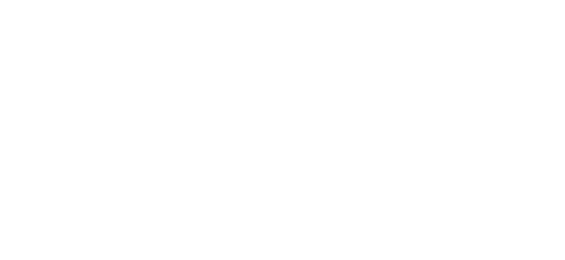 ویزہ (Visa) logo